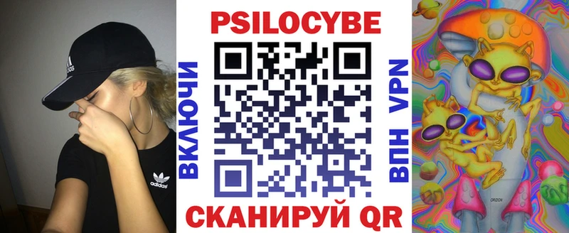 Псилоцибиновые грибы Magic Shrooms где можно купить Холм